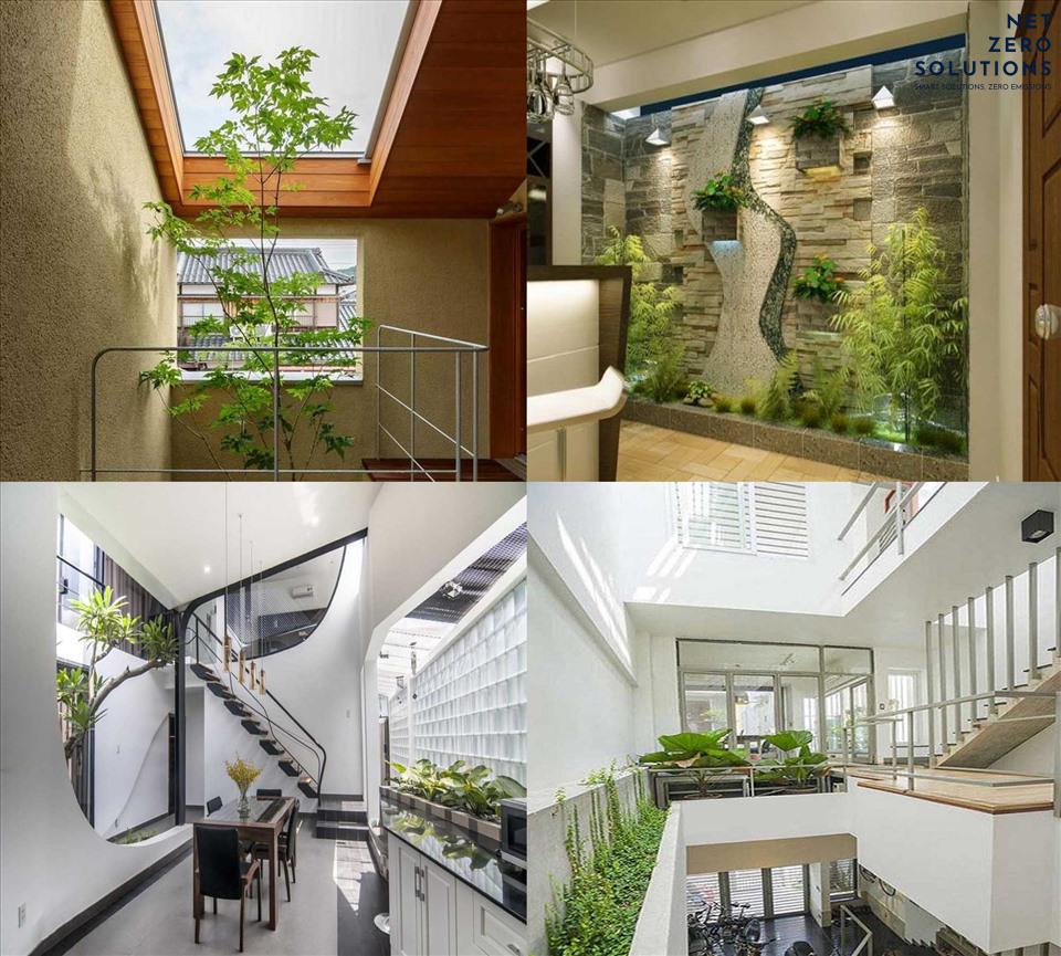 Các loại cây trồng giếng trời trong nhà