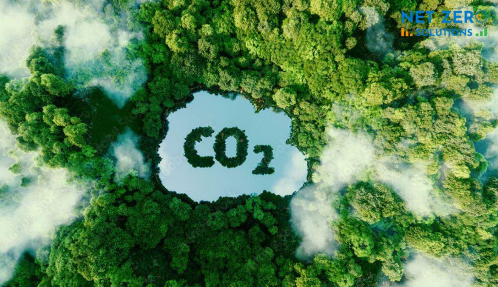Tín chỉ carbon làm tài sản bảo đảm ngân hàng