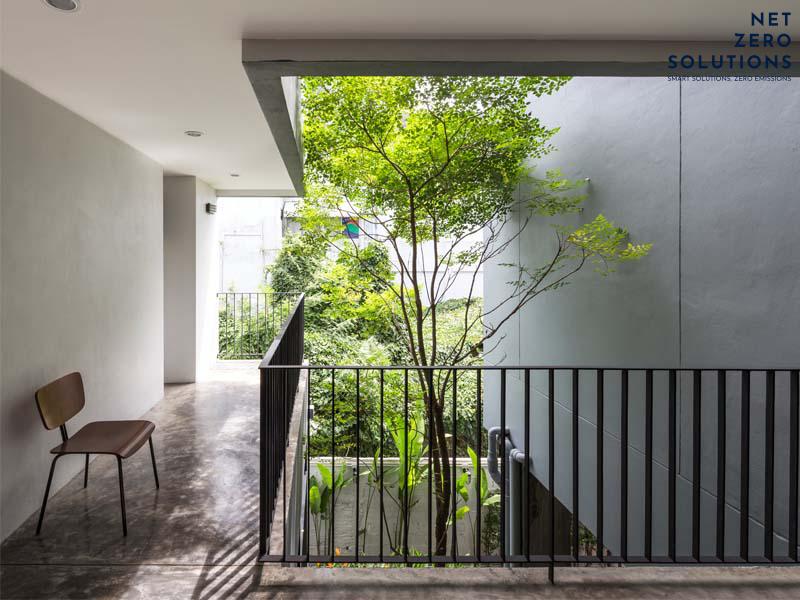 trồng cây giếng trời