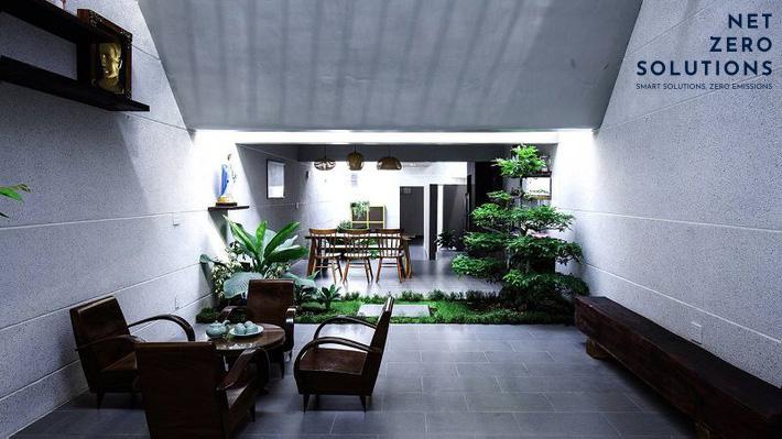 trồng cây giếng trời