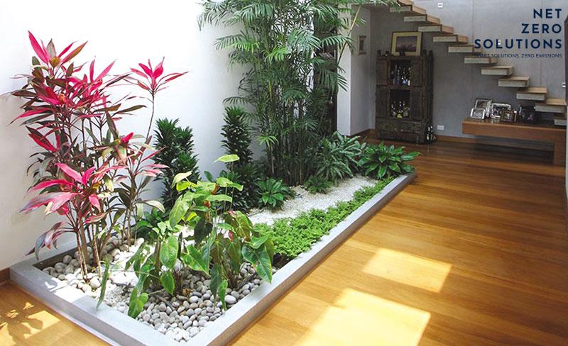 trồng cây giếng trời