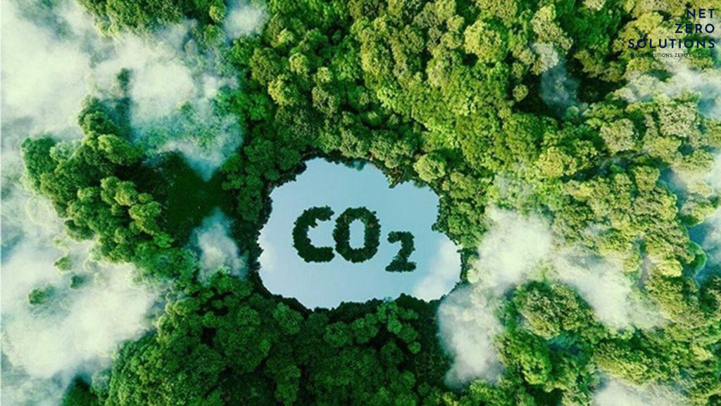 Mua bán tín chỉ carbon