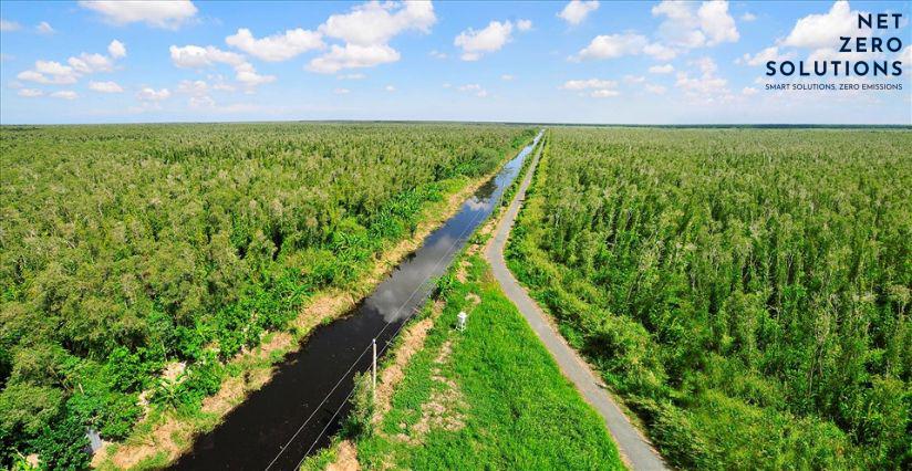 Thị trường Carbon Tự nguyện