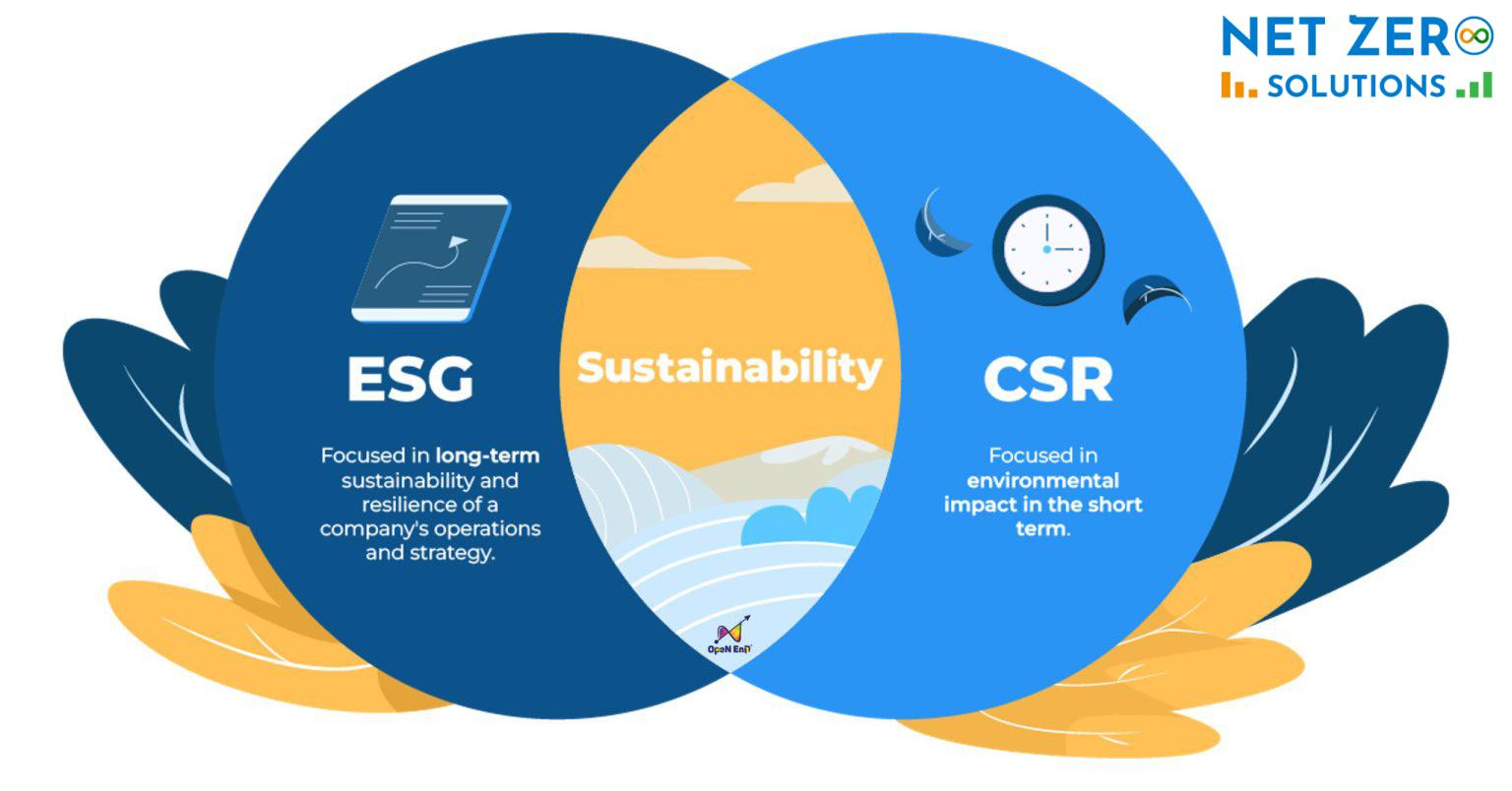 CSR là gì? CSR khác gì ESG? Toàn bộ kiến thức bạn cần biết