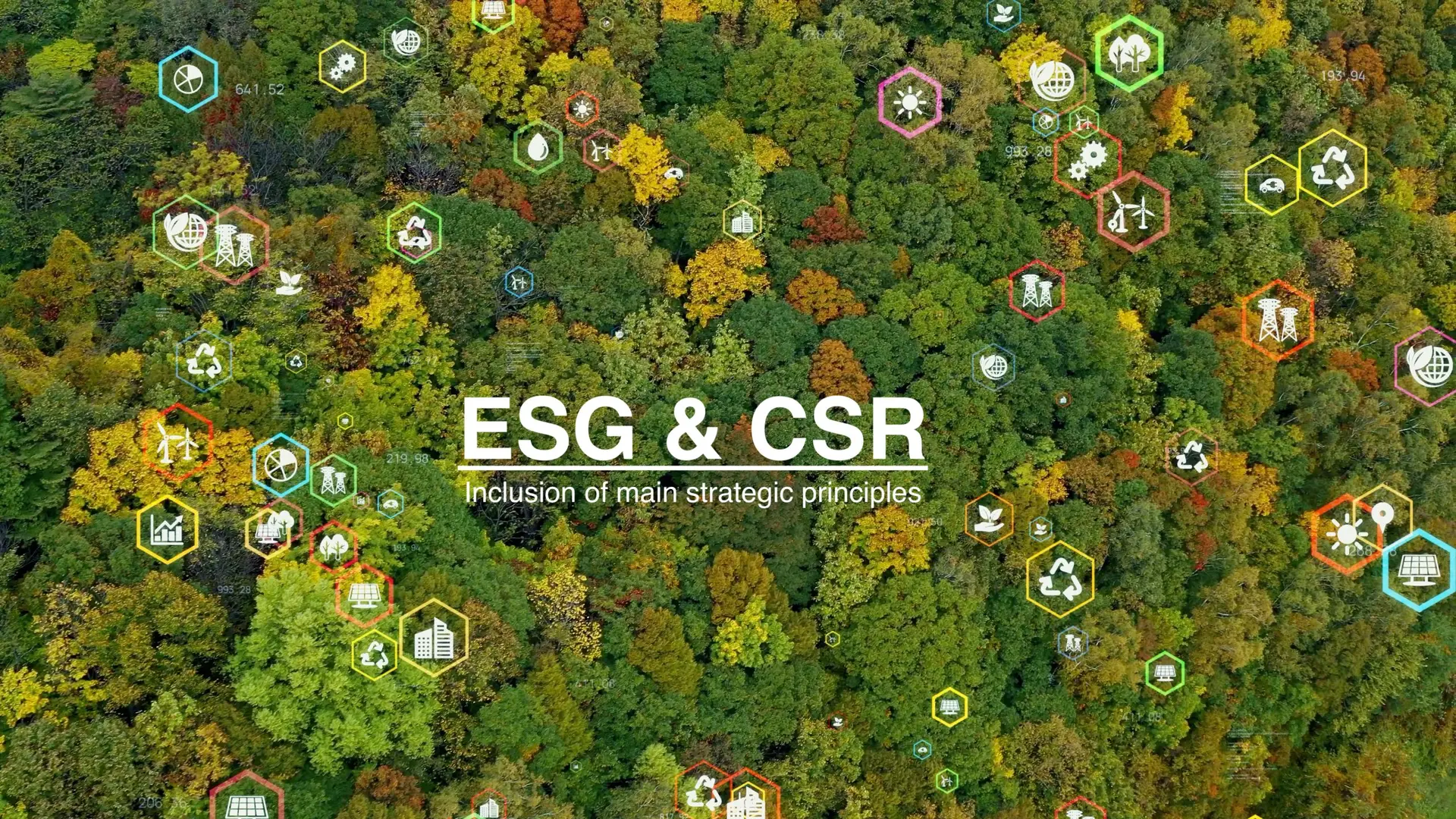 CSR là gì? CSR khác gì ESG?