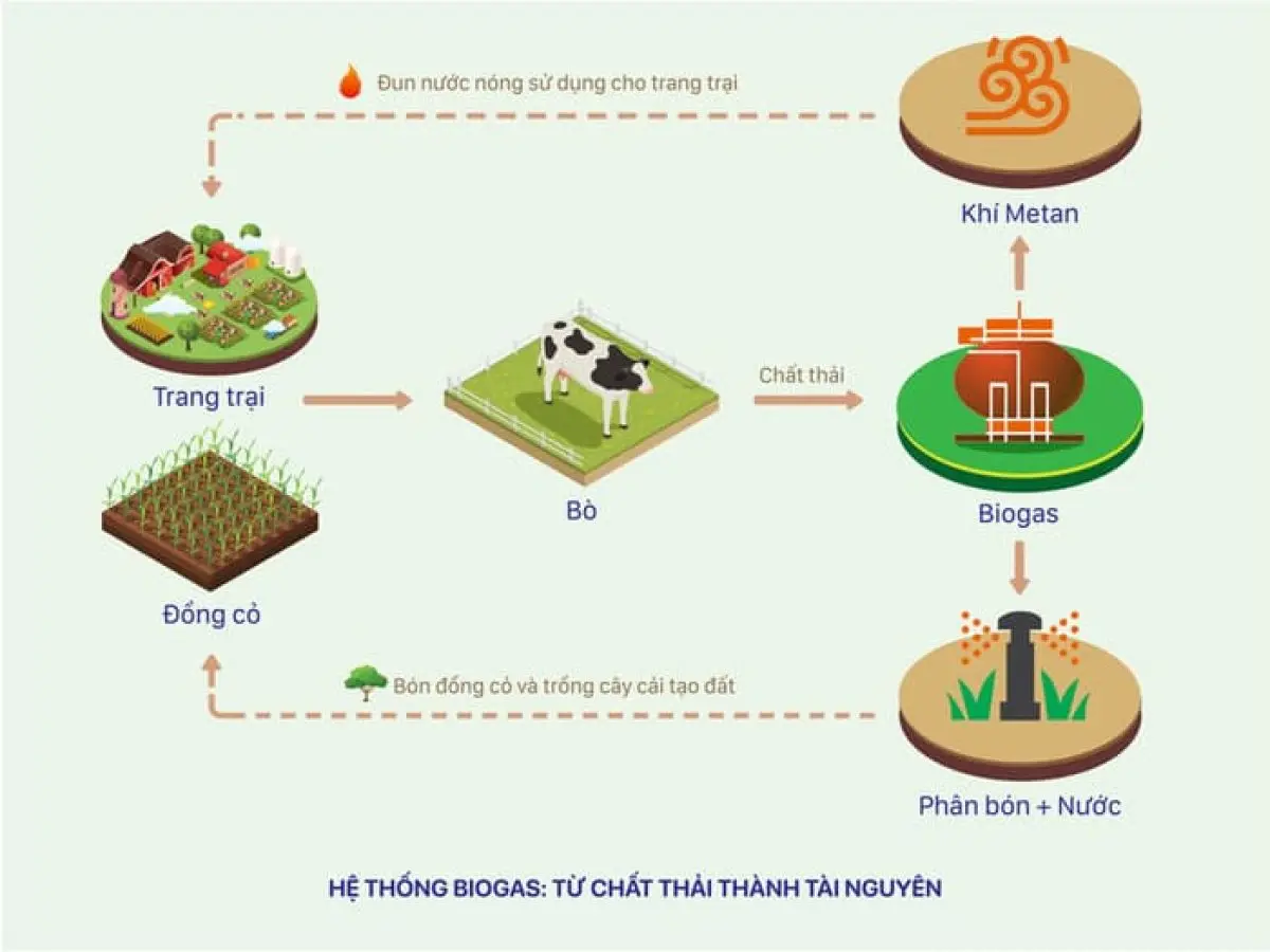 quy trình hiệu quả năng lượng cho kho hàng