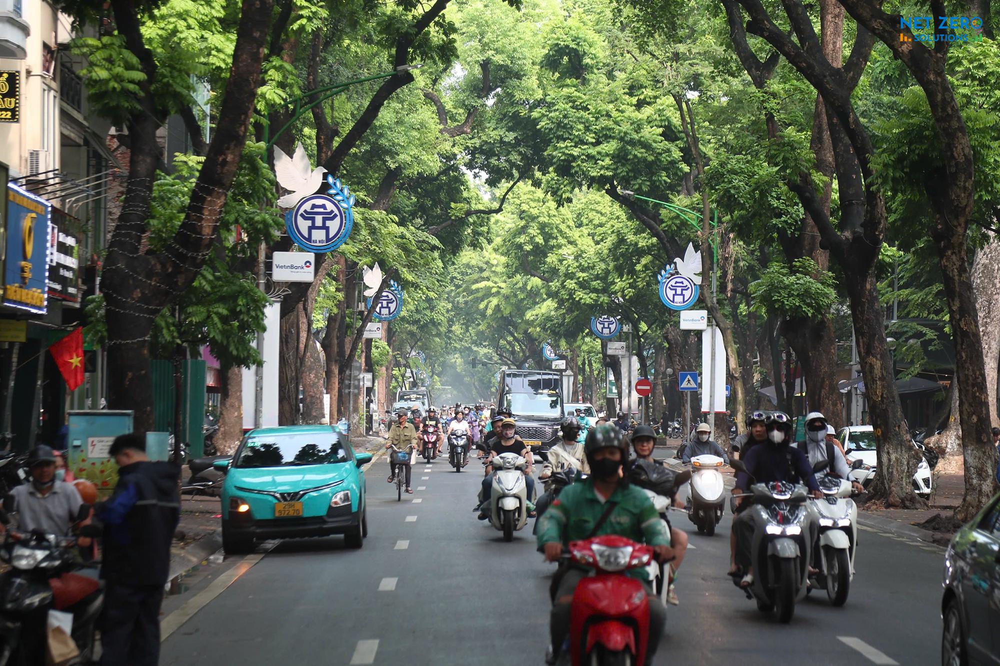 xe điện