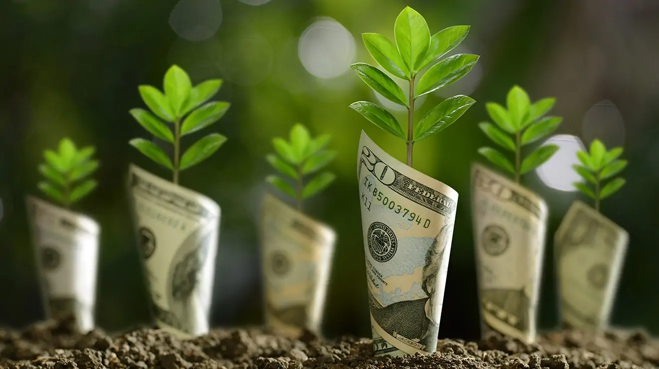 tác hại Green washing