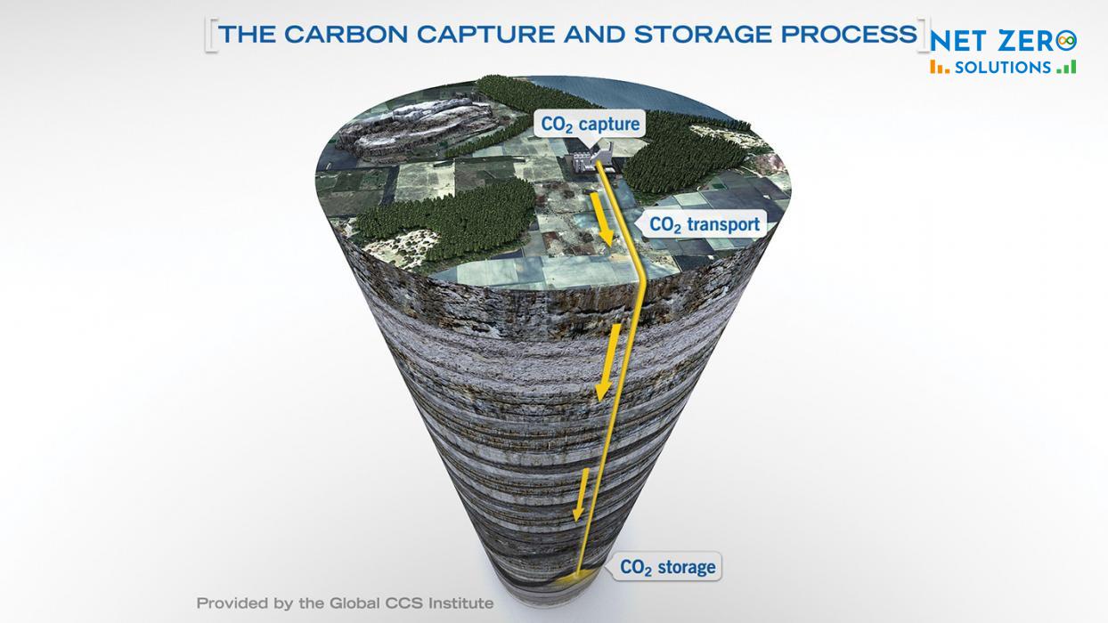 Lưu trữ carbon là gì