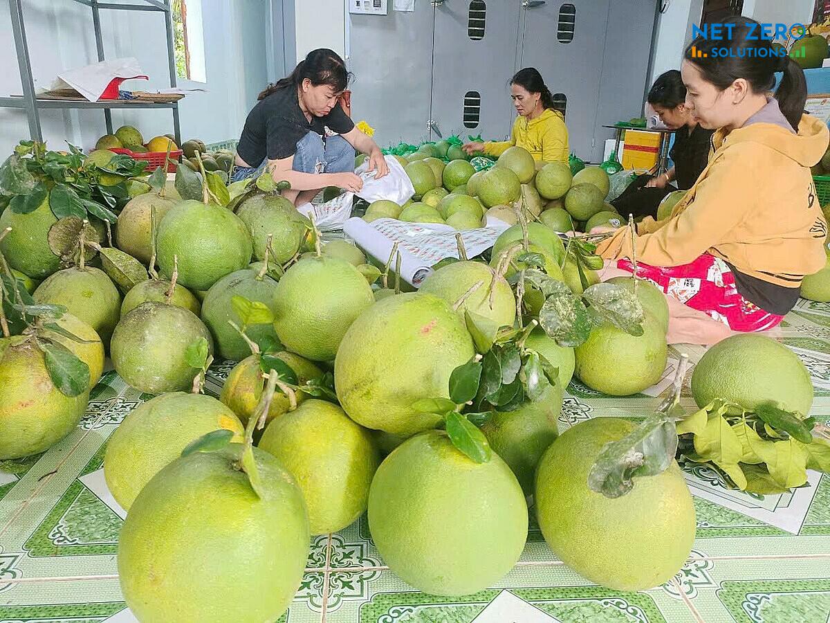 giải pháp Sàn thương mại điện tử xanh