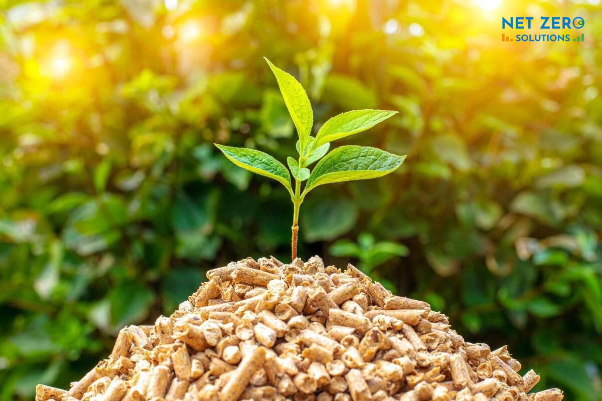 Năng lượng sinh khối hình ảnh