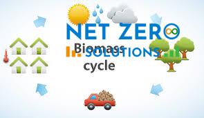 Năng lượng sinh khối hình ảnh