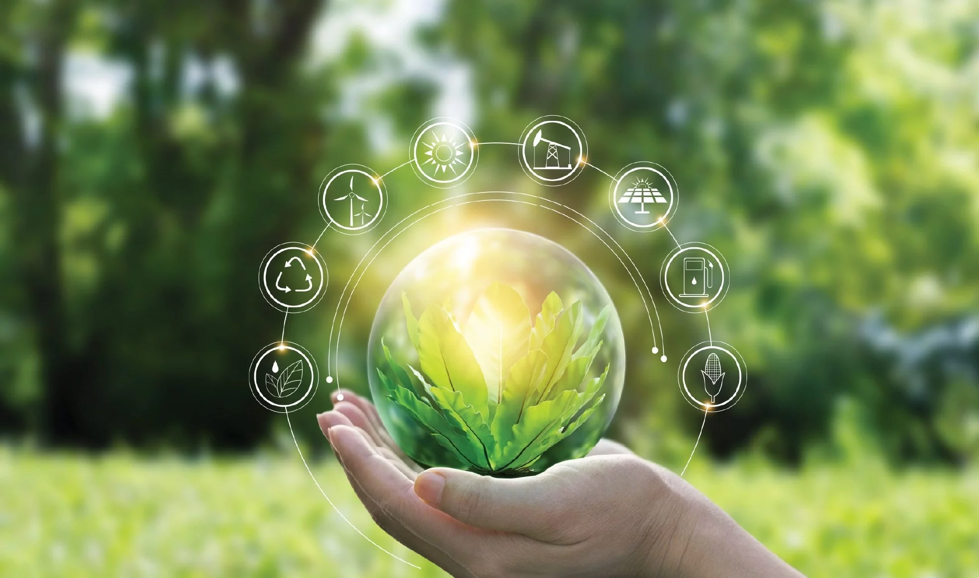 phát triển bền vững