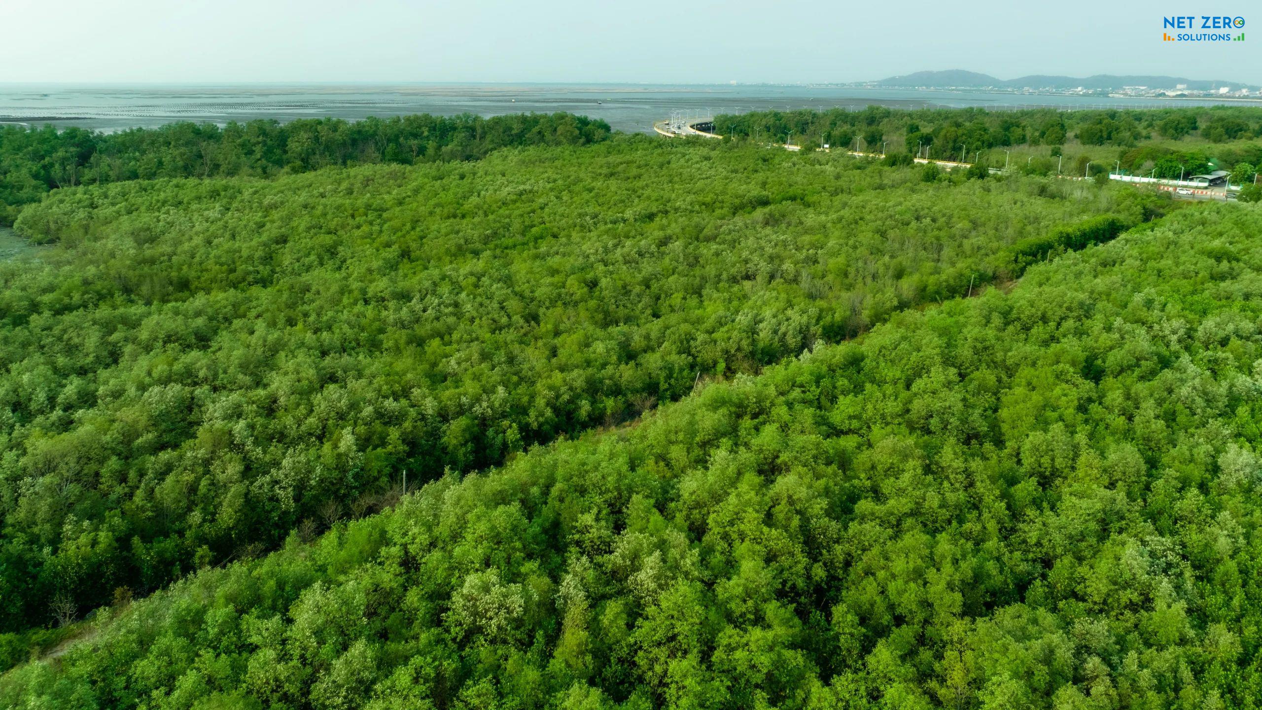 phát triển bền vững