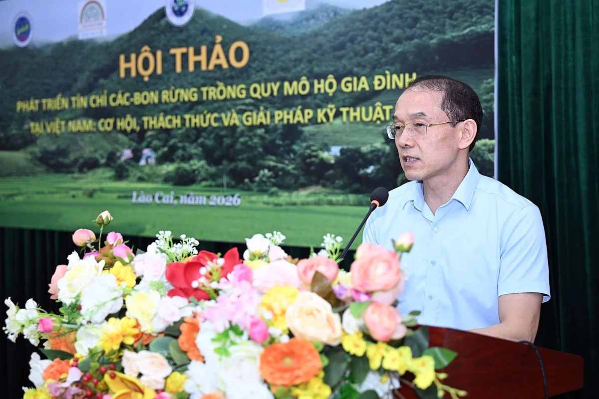 tín chỉ carbon cho rừng trồng hộ dân