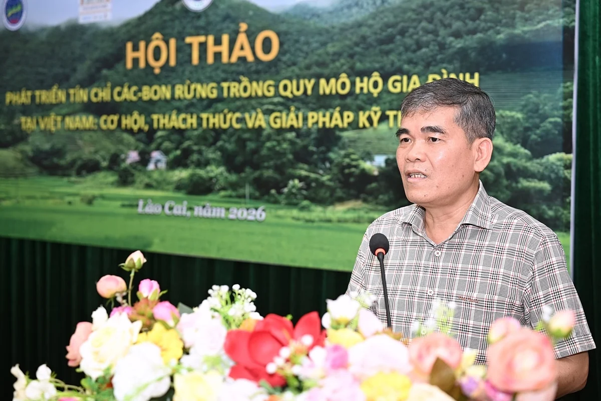 tín chỉ carbon cho rừng trồng hộ dân
